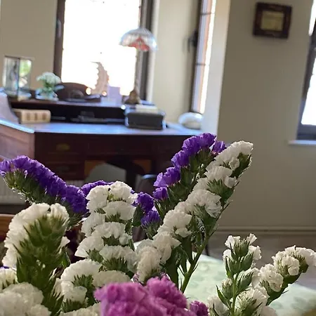 Aurelia Old Town Сasa de vacaciones *