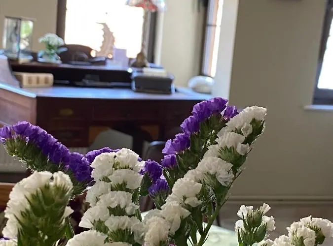 Aurelia Old Town Tatil Evi *