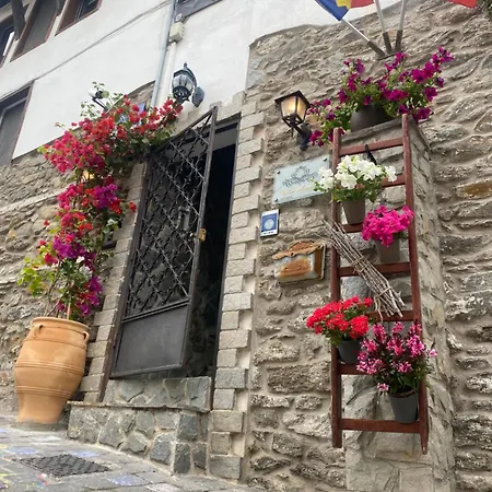 Aurelia Old Town